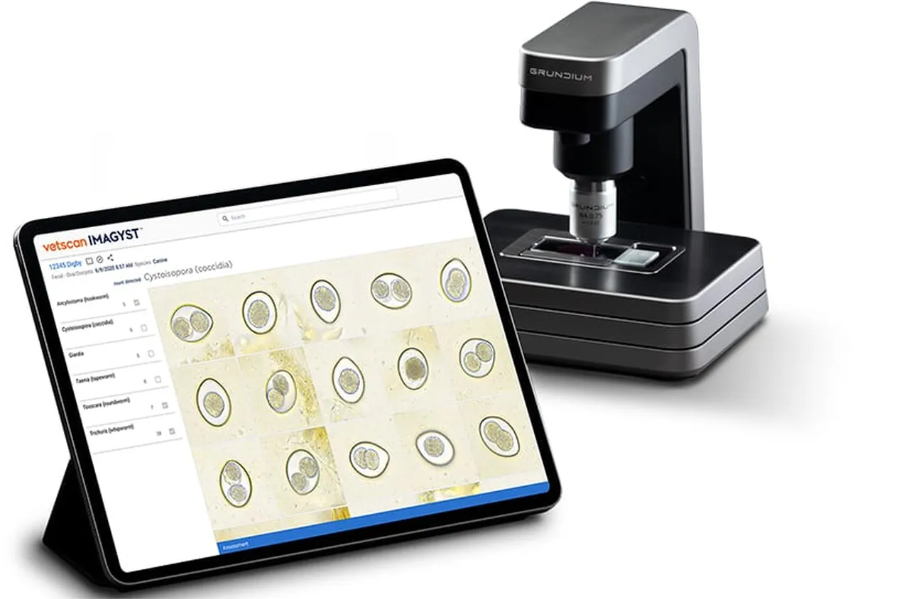 Как работи изкуственият интелект във ветеринарната диагностика: VetScan Imagyst