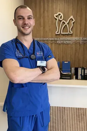 Венцислав Стойчев
